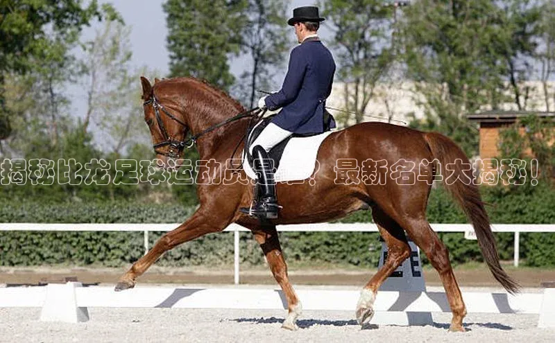 8868体育官网百度识图揭秘比龙足球运动员是谁？最新名单大揭秘！