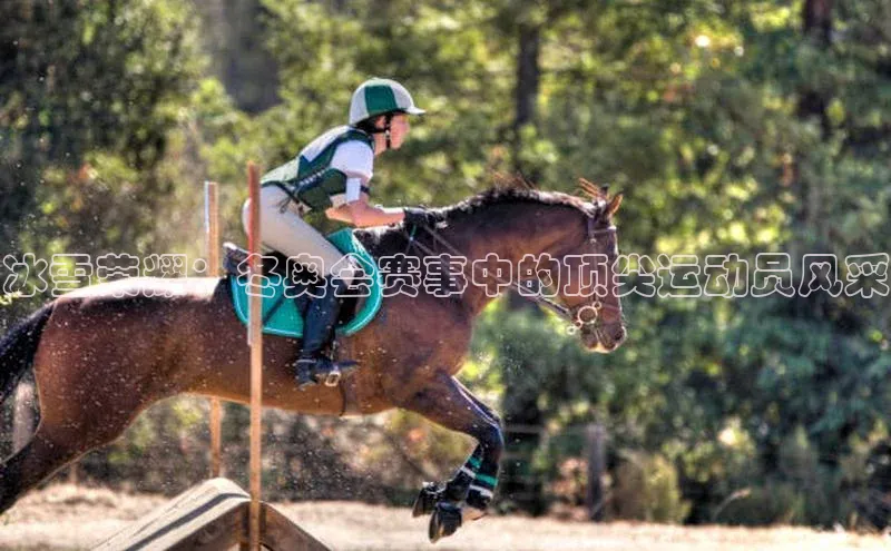 冰雪荣耀：冬奥会赛事中的顶尖运动员风采