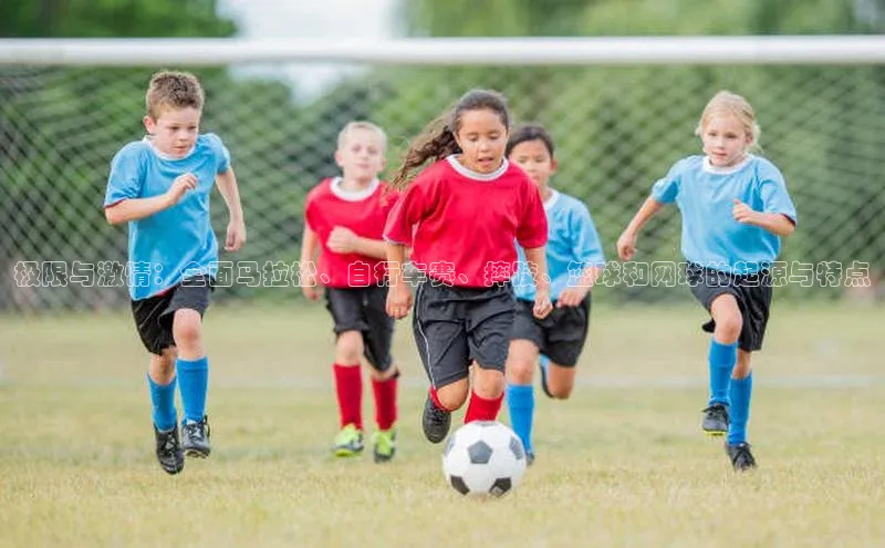 极限与激情：全面马拉松、自行车赛、摔跤、篮球和网球的起源与特点