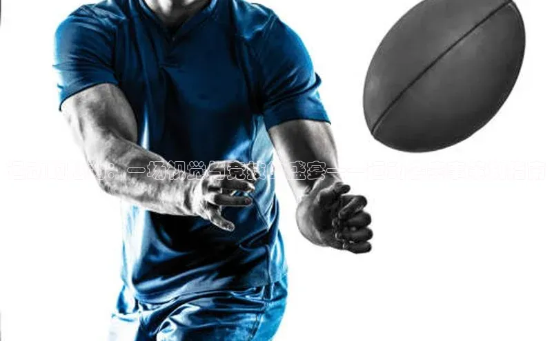 运动的魅力：一场视觉与竞技的盛宴——运动会赛事策划指南