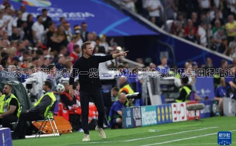 肇庆最新运动赛事一览：激战正酣的绿茵场与田径跑道