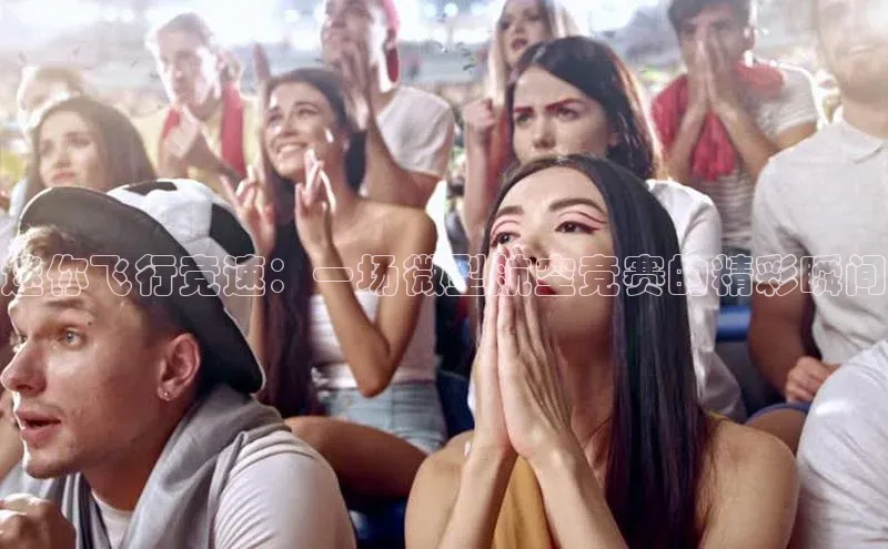 迷你飞行竞速：一场微型航空竞赛的精彩瞬间