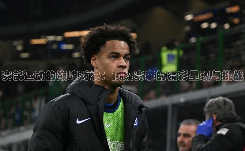 赛鸽运动的巅峰对决：顶级赛事的精彩呈现与挑战