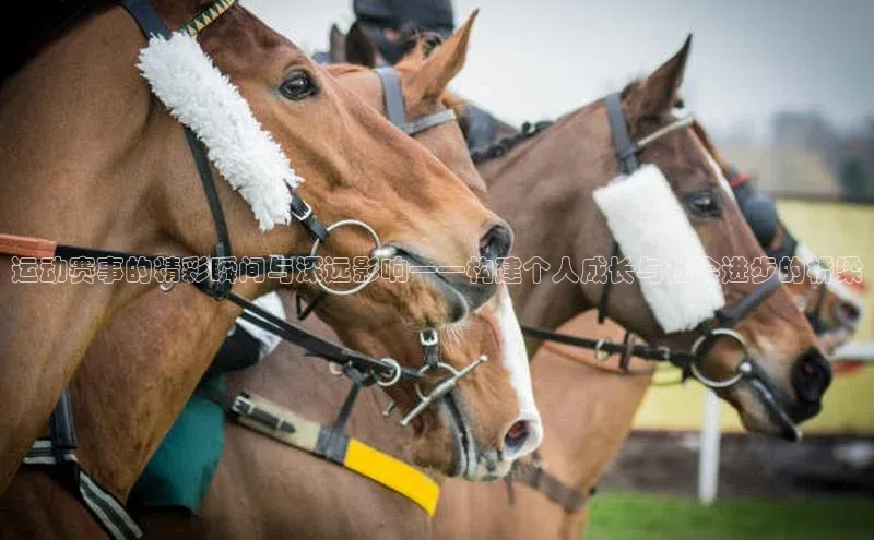 运动赛事的精彩瞬间与深远影响——构建个人成长与社会进步的桥梁