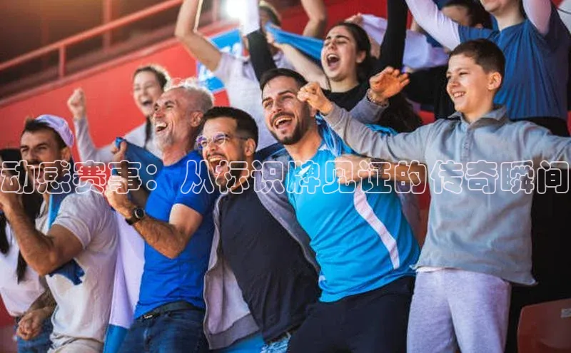 8688体育官方入口