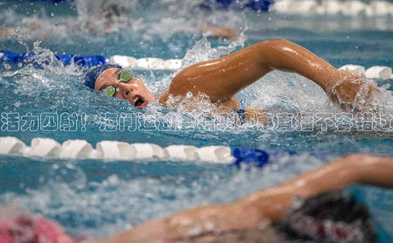 8868体育网页版入口