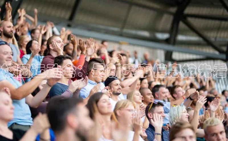 8868体育登录入口进入官网