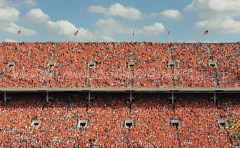 8868体育官方入口