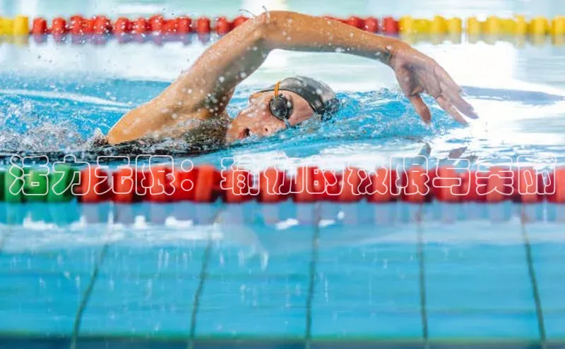 8868体育官方网页版