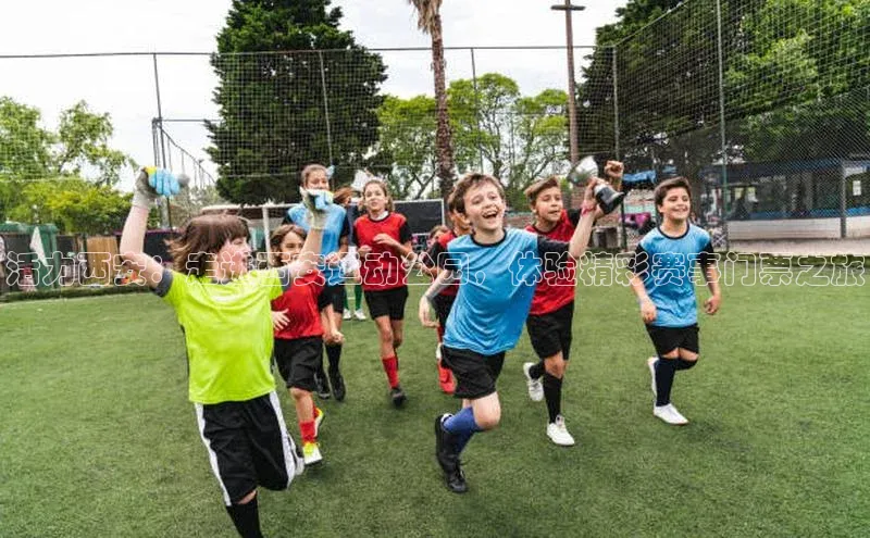 8868体育网页版登录入口