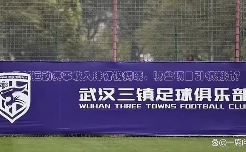 ：最新运动赛事收入排行榜揭晓，哪些项目引领潮流？