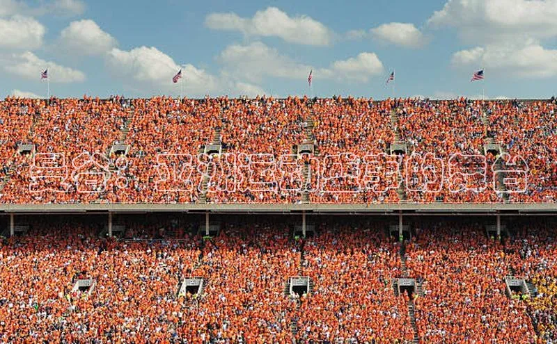 8868体育官网app下载