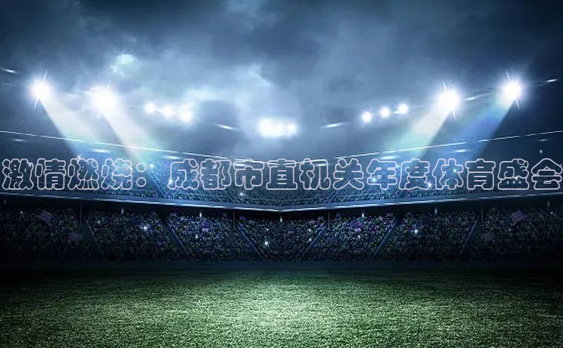 激情燃烧：成都市直机关年度体育盛会